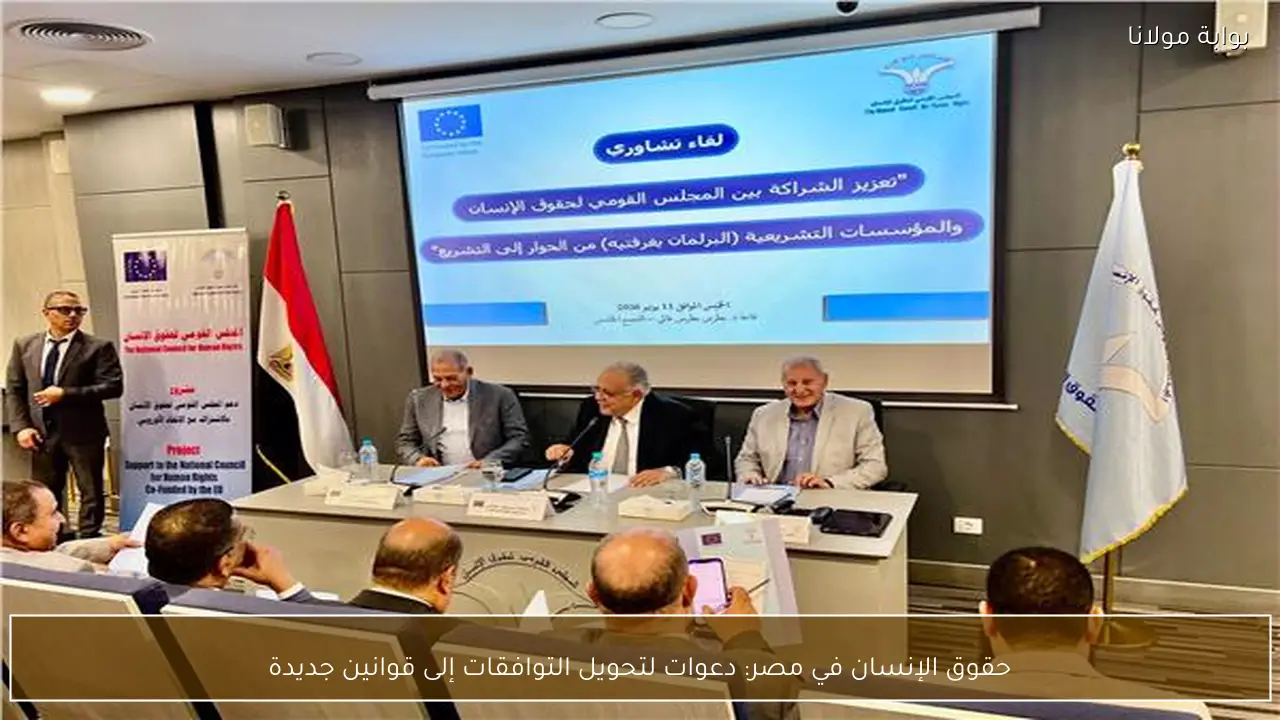 حقوق الإنسان في مصر: دعوات لتحويل التوافقات إلى قوانين جديدة