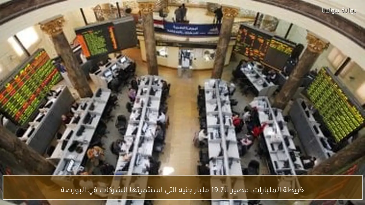 خريطة المليارات: مصير الـ19.7 مليار جنيه التي استثمرتها الشركات في البورصة