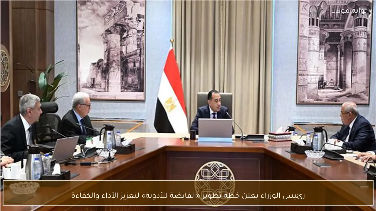رئيس الوزراء يعلن خطة تطوير «القابضة للأدوية» لتعزيز الأداء والكفاءة