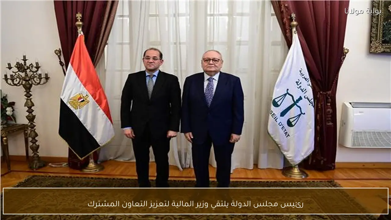 رئيس مجلس الدولة يلتقي وزير المالية لتعزيز التعاون المشترك