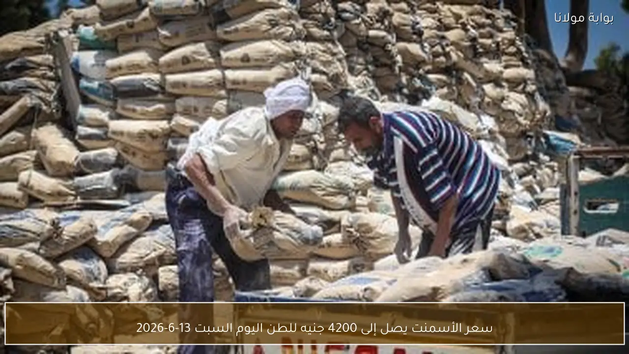 سعر الأسمنت يصل إلى 4200 جنيه للطن اليوم السبت 13-6-2026