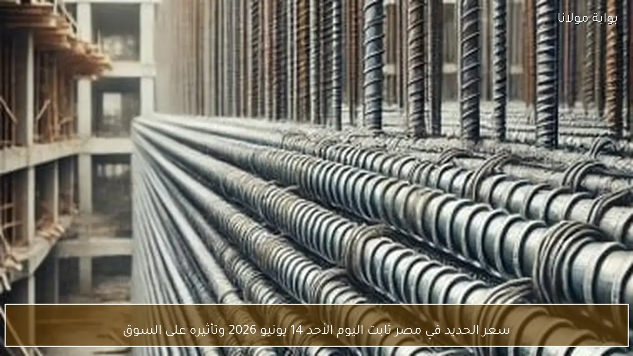 سعر الحديد في مصر ثابت اليوم الأحد 14 يونيو 2026 وتأثيره على السوق