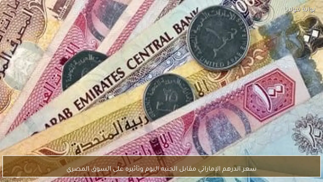 سعر الدرهم الإماراتي مقابل الجنيه اليوم وتأثيره على السوق المصري