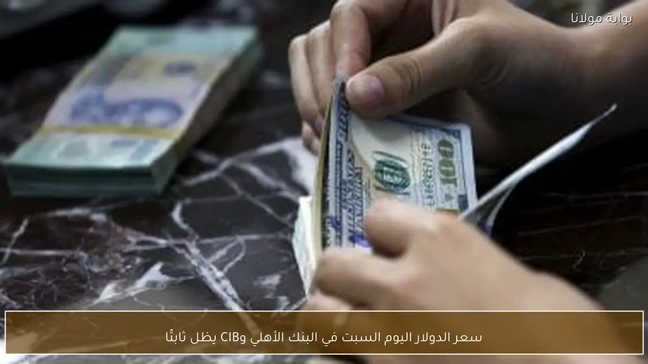 سعر الدولار اليوم السبت في البنك الأهلي وCIB يظل ثابتًا