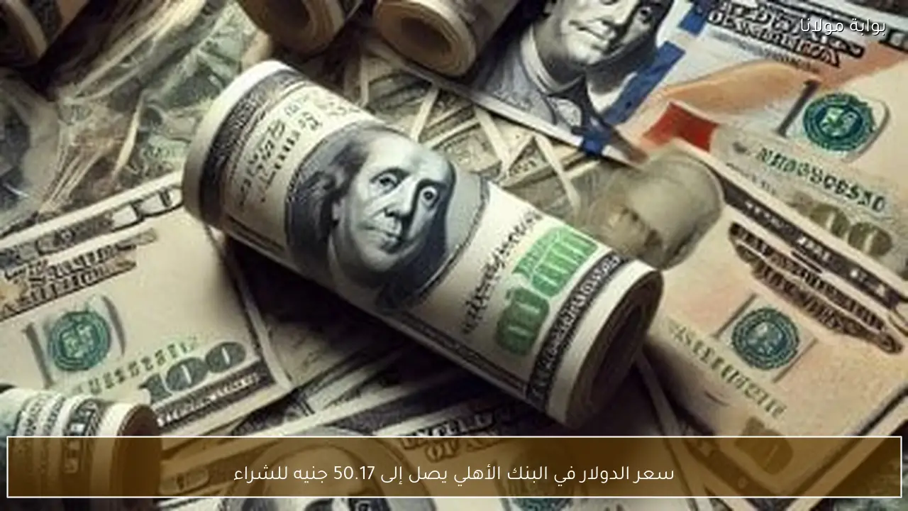 سعر الدولار في البنك الأهلي يصل إلى 50.17 جنيه للشراء