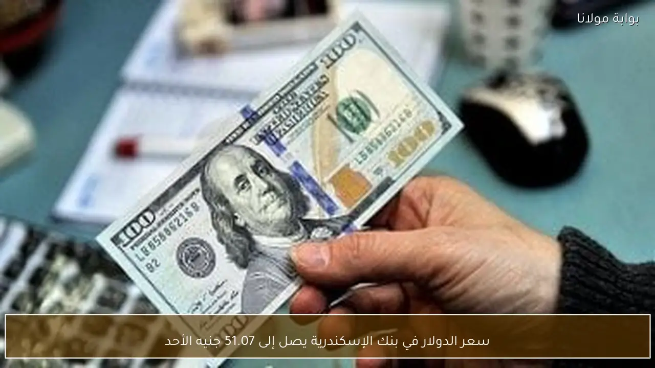 سعر الدولار في بنك الإسكندرية يصل إلى 51.07 جنيه الأحد