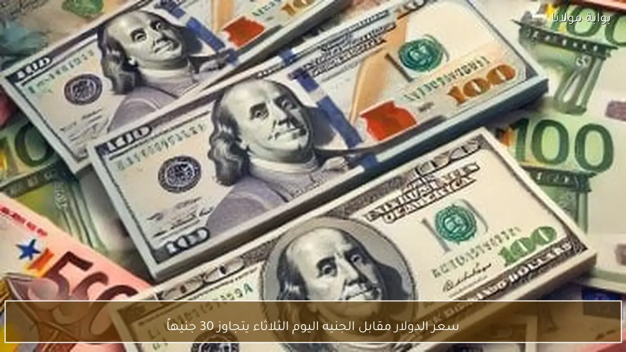 سعر الدولار مقابل الجنيه اليوم الثلاثاء يتجاوز 30 جنيهاً