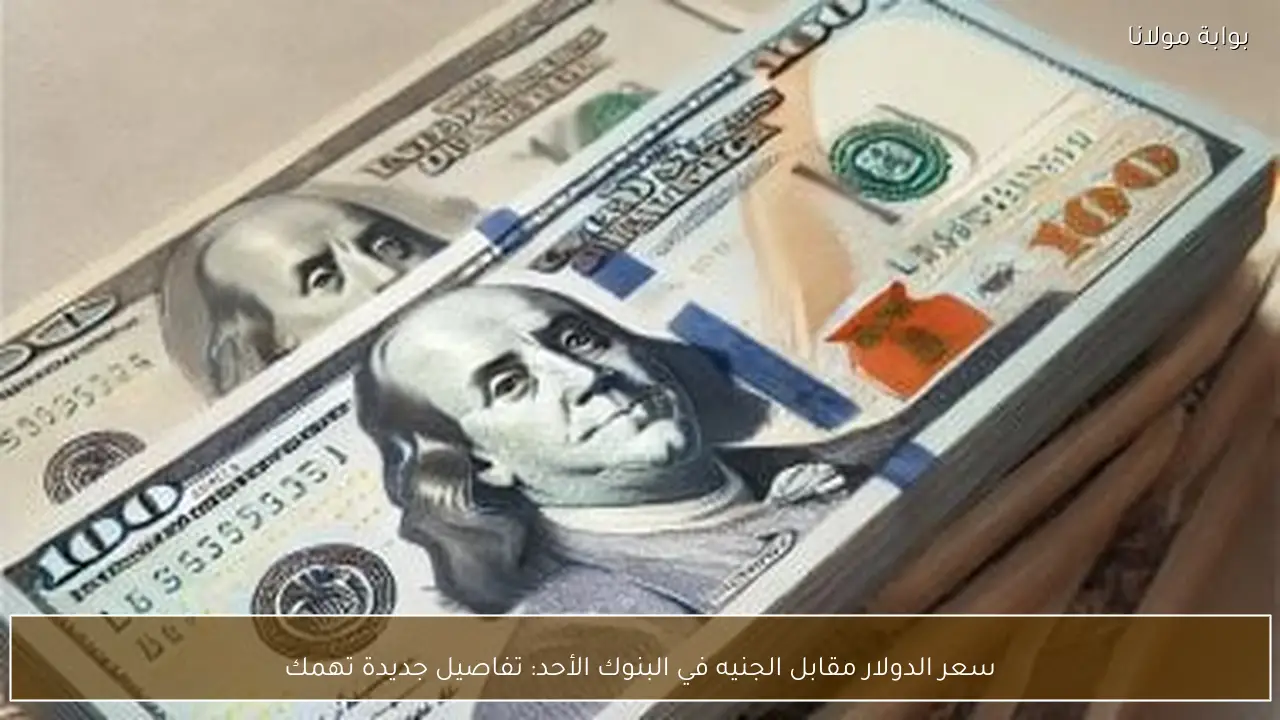 سعر الدولار مقابل الجنيه في البنوك الأحد: تفاصيل جديدة تهمك