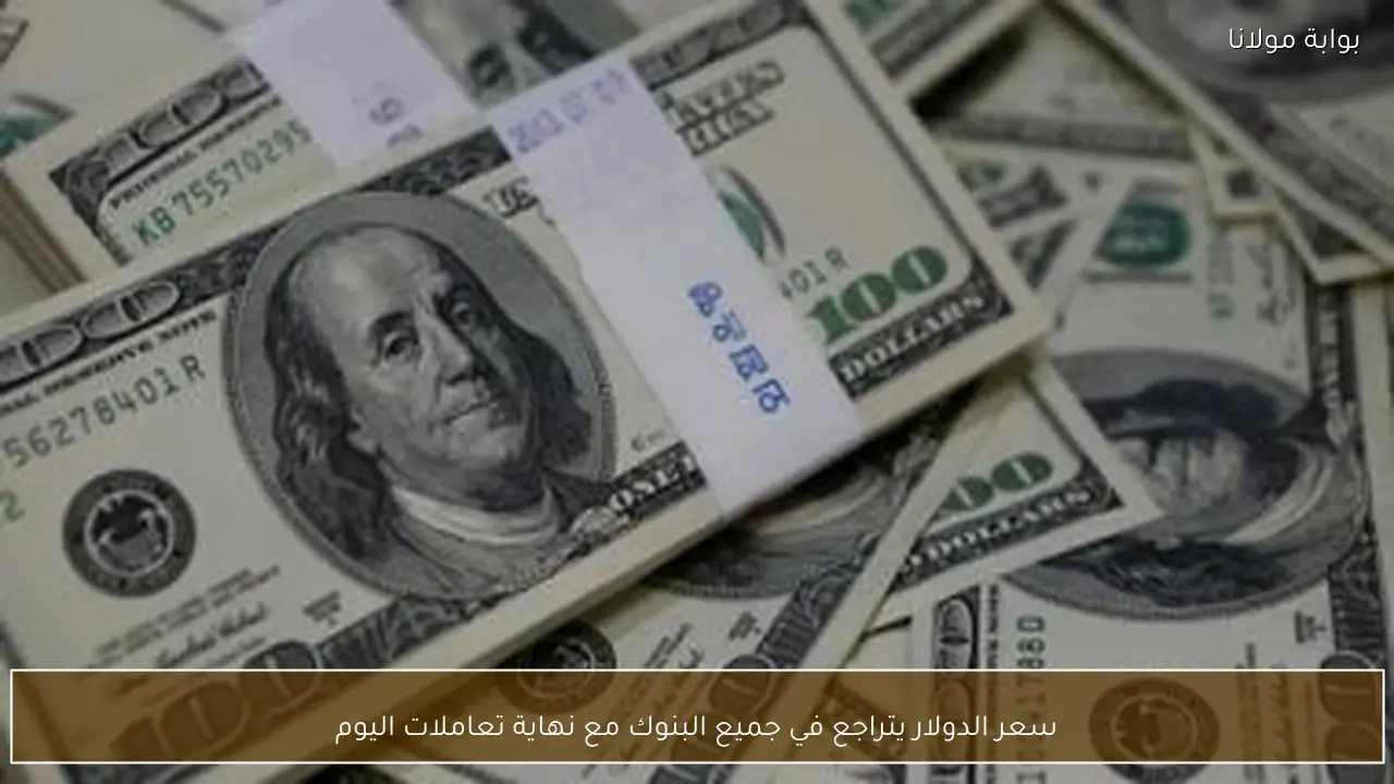 سعر الدولار يتراجع في جميع البنوك مع نهاية تعاملات اليوم