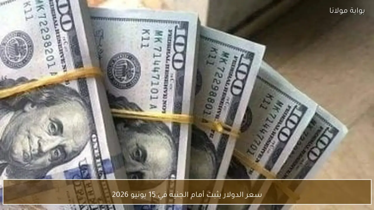 سعر الدولار يثبت أمام الجنيه في 15 يونيو 2026