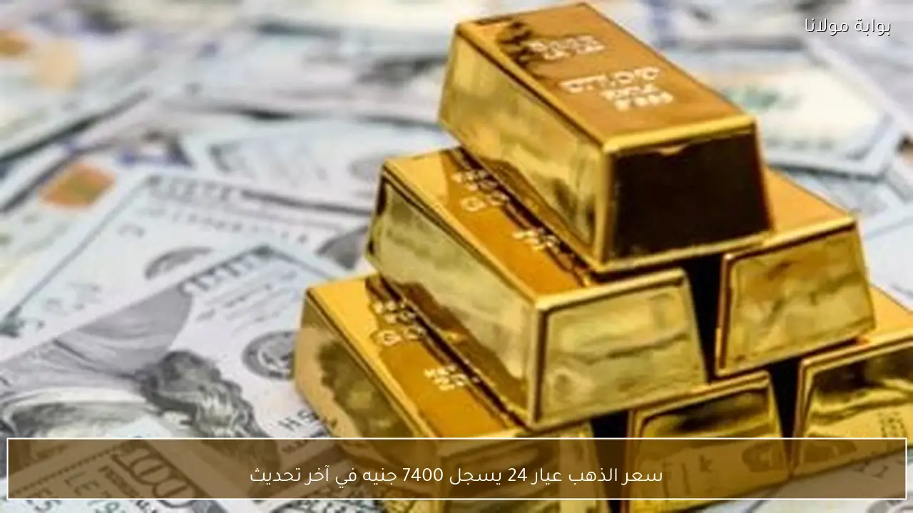 سعر الذهب عيار 24 يسجل 7400 جنيه في آخر تحديث