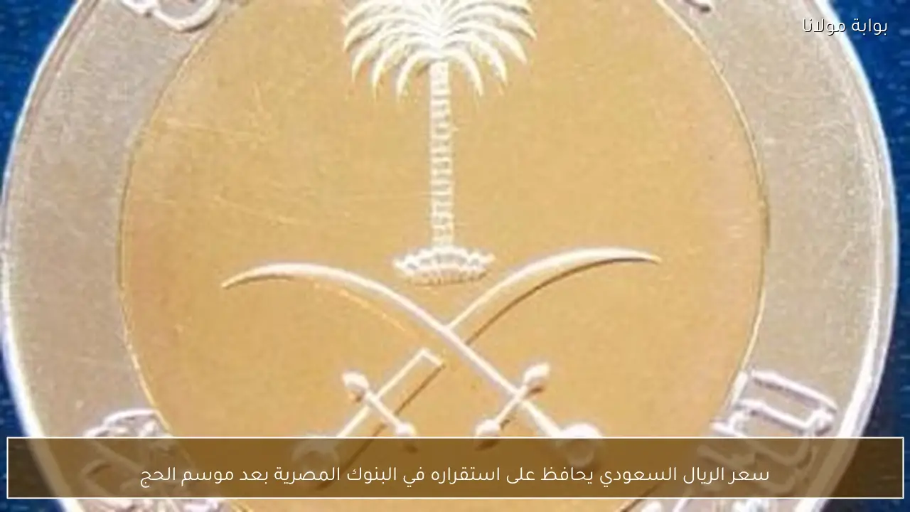 سعر الريال السعودي يحافظ على استقراره في البنوك المصرية بعد موسم الحج