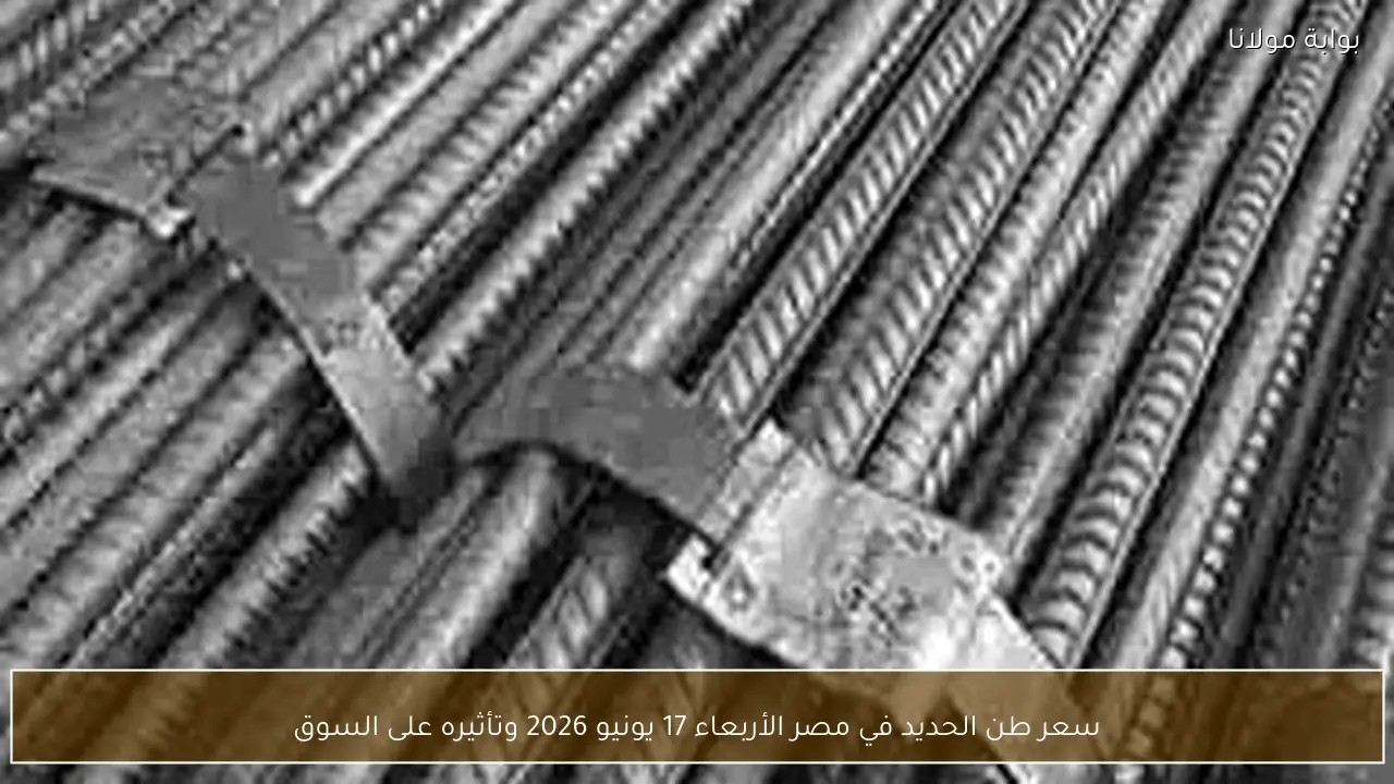 سعر طن الحديد في مصر الأربعاء 17 يونيو 2026 وتأثيره على السوق