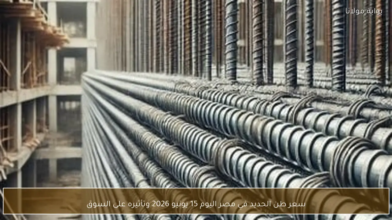 سعر طن الحديد في مصر اليوم 15 يونيو 2026 وتأثيره على السوق