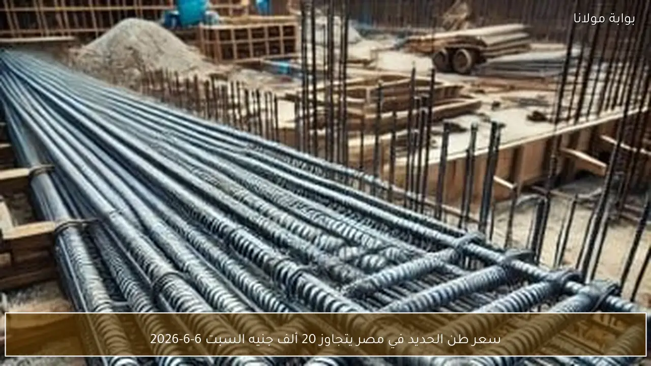 سعر طن الحديد في مصر يتجاوز 20 ألف جنيه السبت 6-6-2026