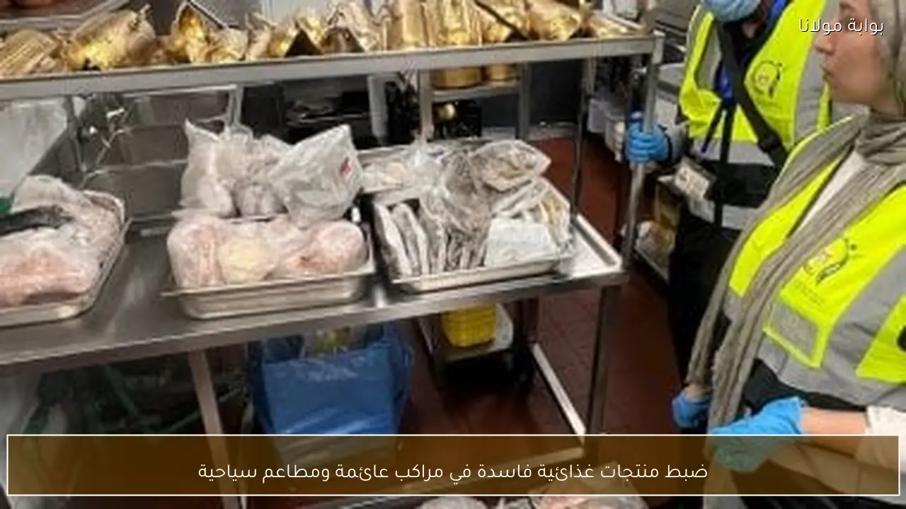ضبط منتجات غذائية فاسدة في مراكب عائمة ومطاعم سياحية