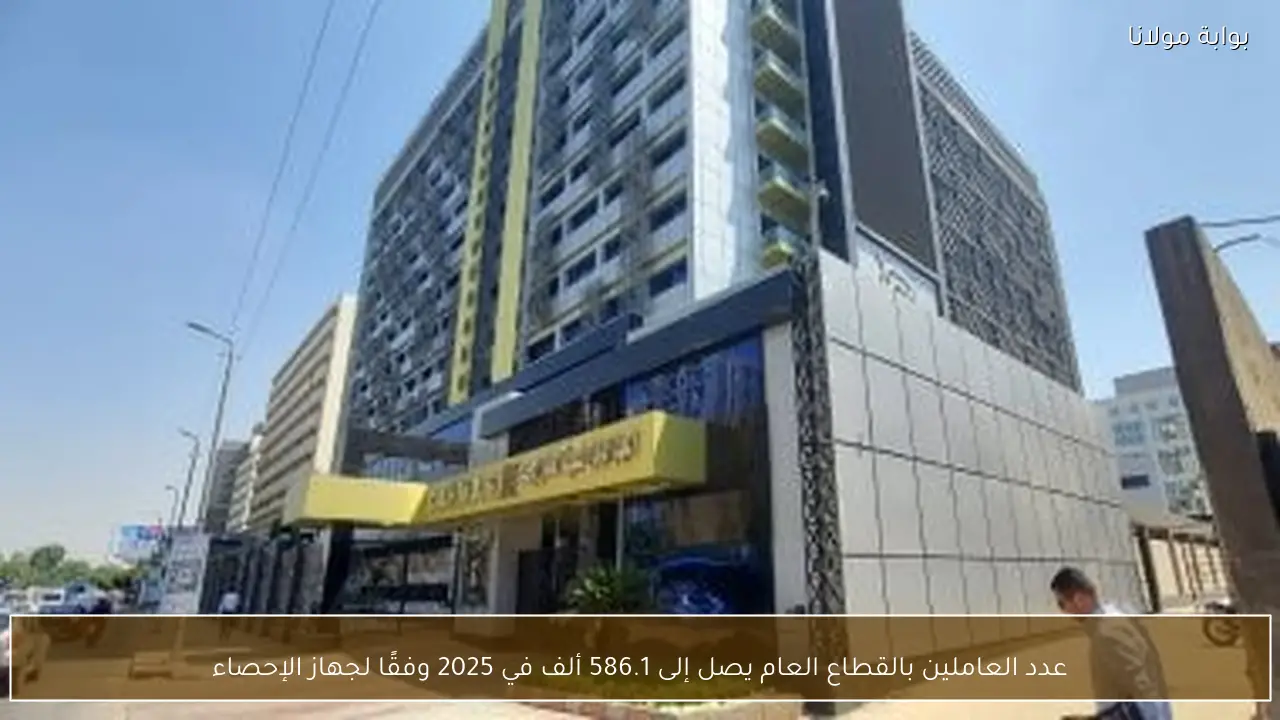 عدد العاملين بالقطاع العام يصل إلى 586.1 ألف في 2025 وفقًا لجهاز الإحصاء