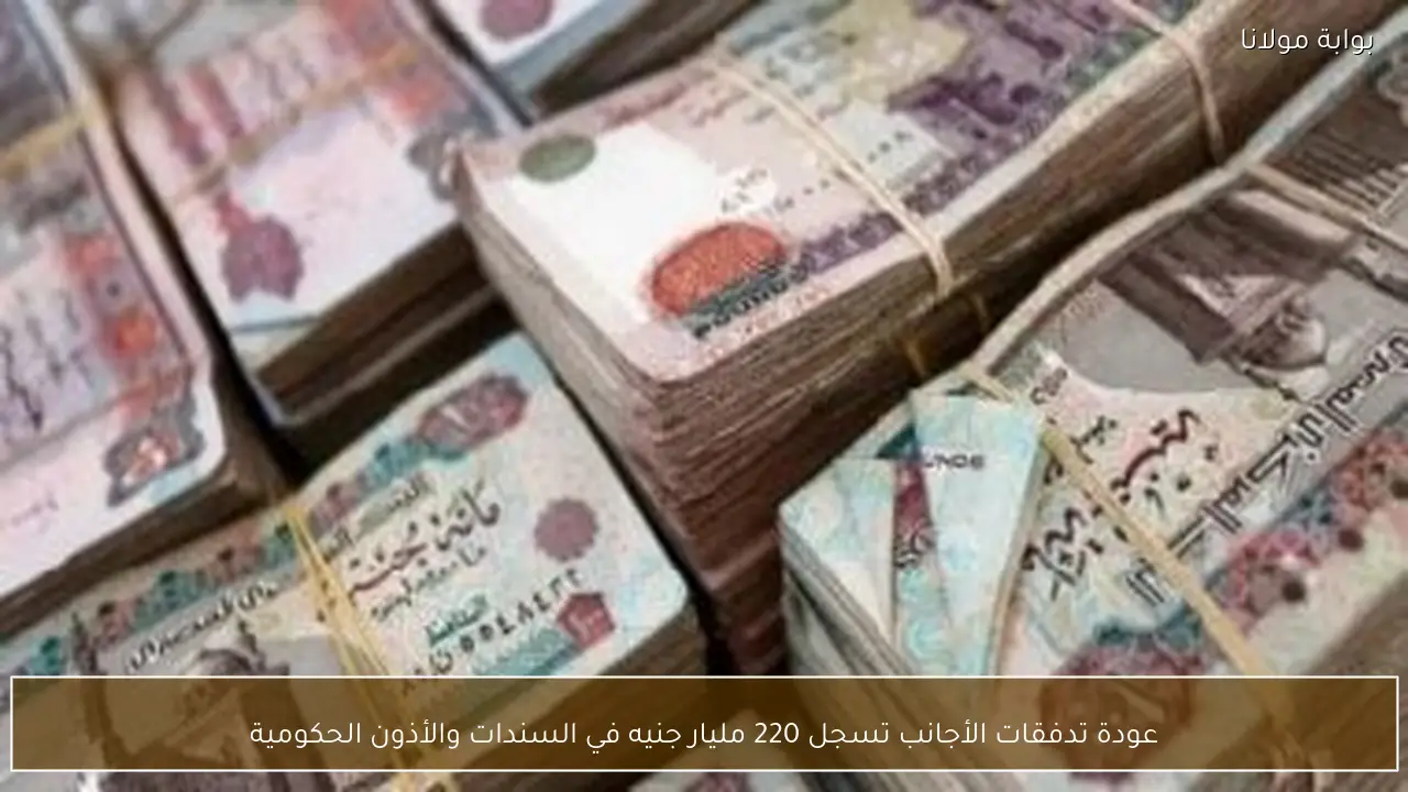 عودة تدفقات الأجانب تسجل 220 مليار جنيه في السندات والأذون الحكومية