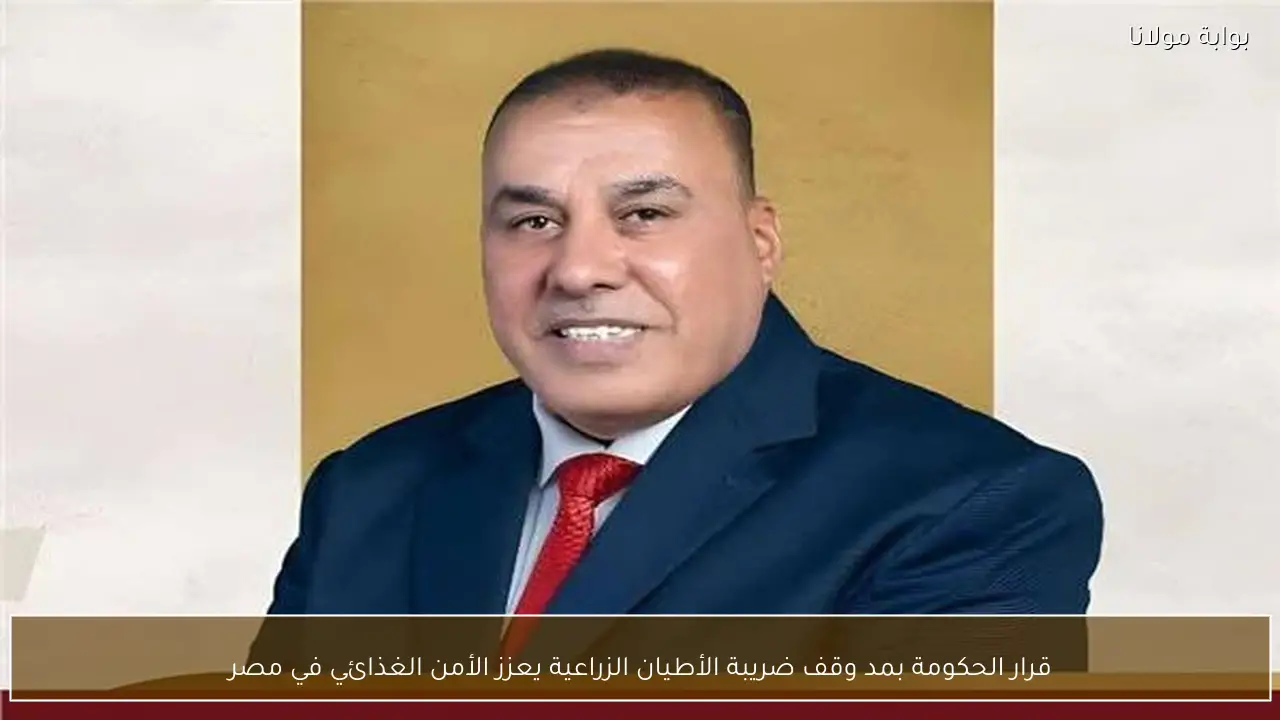 قرار الحكومة بمد وقف ضريبة الأطيان الزراعية يعزز الأمن الغذائي في مصر
