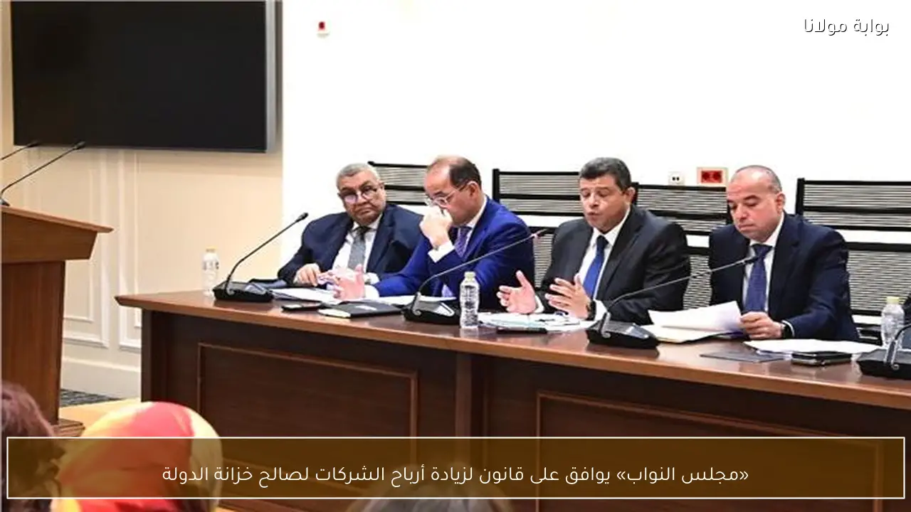 «مجلس النواب» يوافق على قانون لزيادة أرباح الشركات لصالح خزانة الدولة