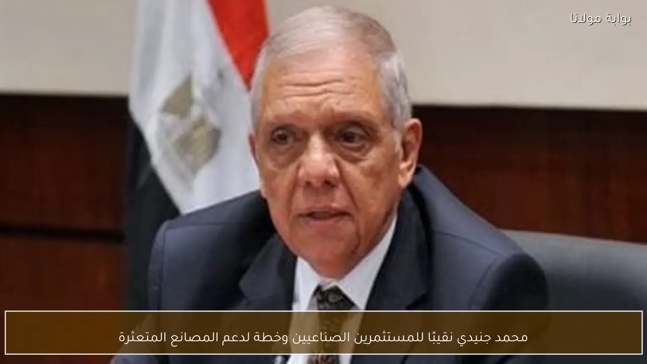 محمد جنيدي نقيبًا للمستثمرين الصناعيين وخطة لدعم المصانع المتعثرة