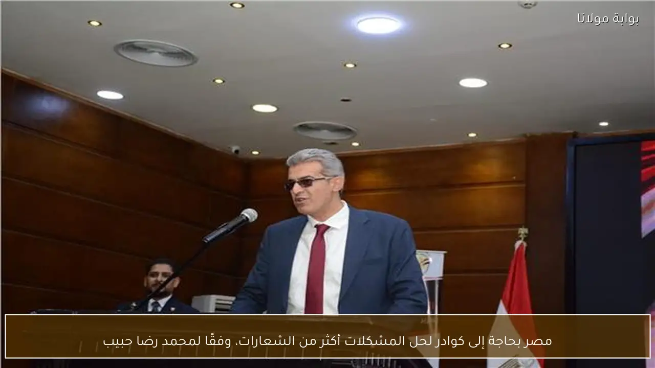 مصر بحاجة إلى كوادر لحل المشكلات أكثر من الشعارات، وفقًا لمحمد رضا حبيب
