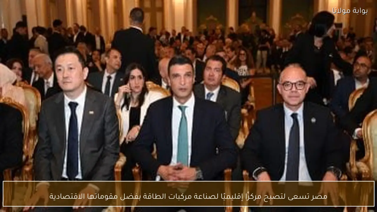 مصر تسعى لتصبح مركزًا إقليميًا لصناعة مركبات الطاقة بفضل مقوماتها الاقتصادية