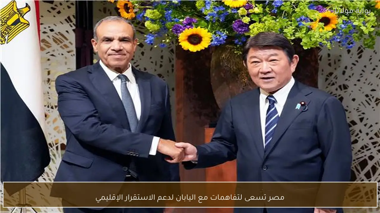 مصر تسعى لتفاهمات مع اليابان لدعم الاستقرار الإقليمي