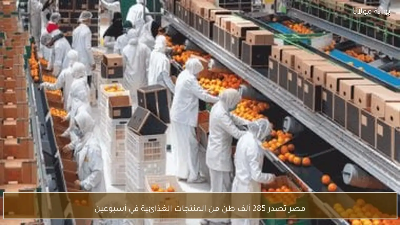 مصر تصدر 285 ألف طن من المنتجات الغذائية في أسبوعين
