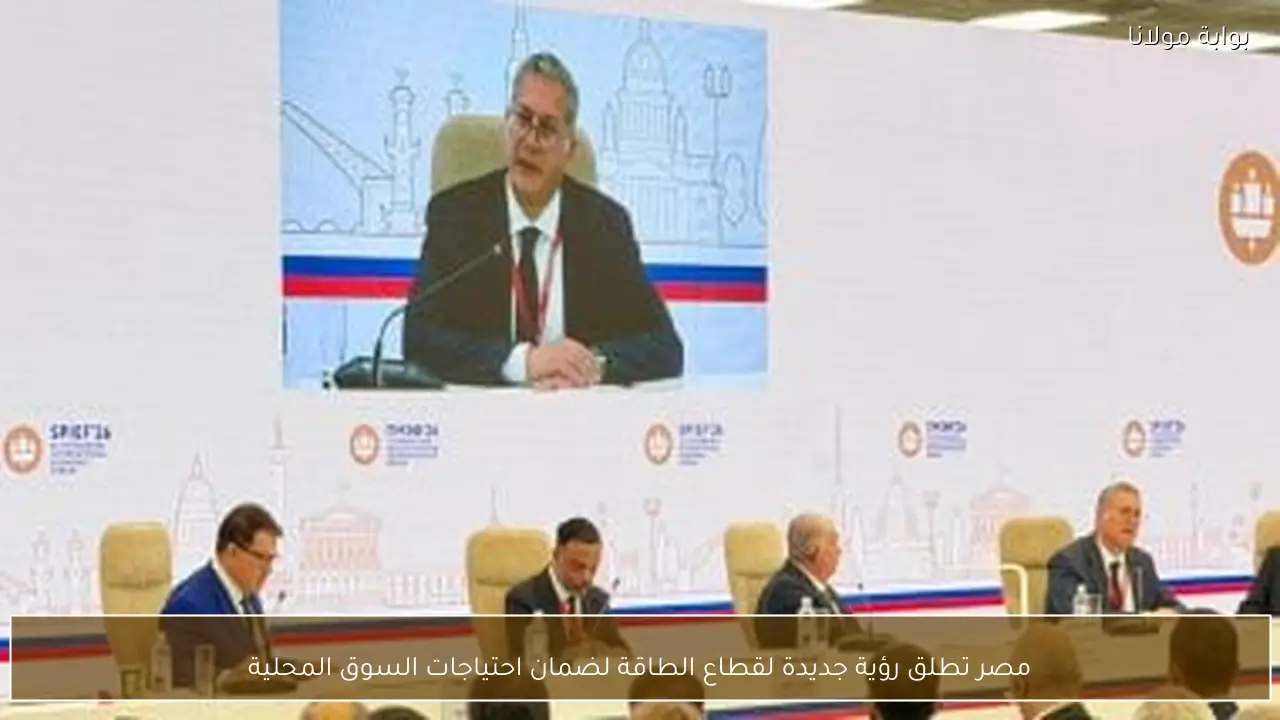 مصر تطلق رؤية جديدة لقطاع الطاقة لضمان احتياجات السوق المحلية