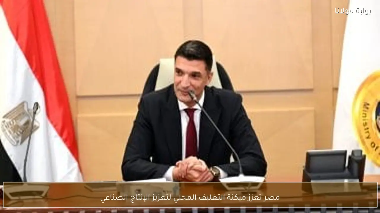 مصر تعزز ميكنة التغليف المحلي لتعزيز الإنتاج الصناعي