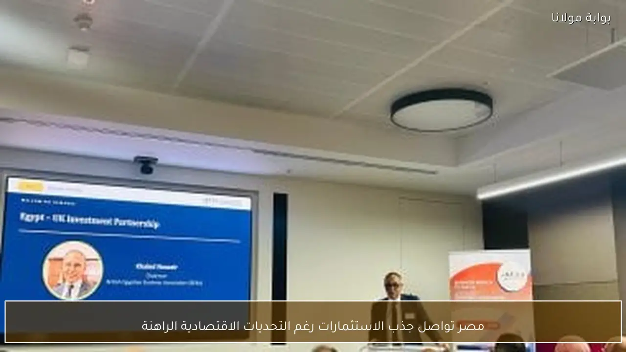 مصر تواصل جذب الاستثمارات رغم التحديات الاقتصادية الراهنة