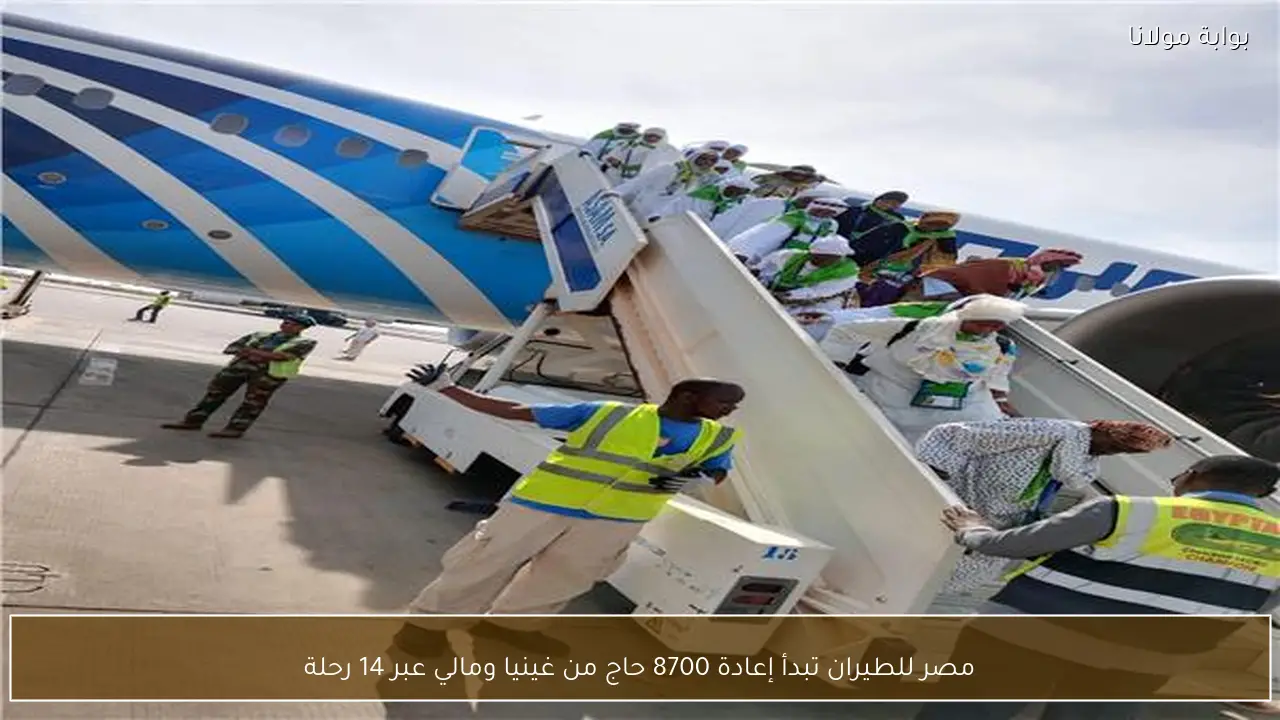 مصر للطيران تبدأ إعادة 8700 حاج من غينيا ومالي عبر 14 رحلة