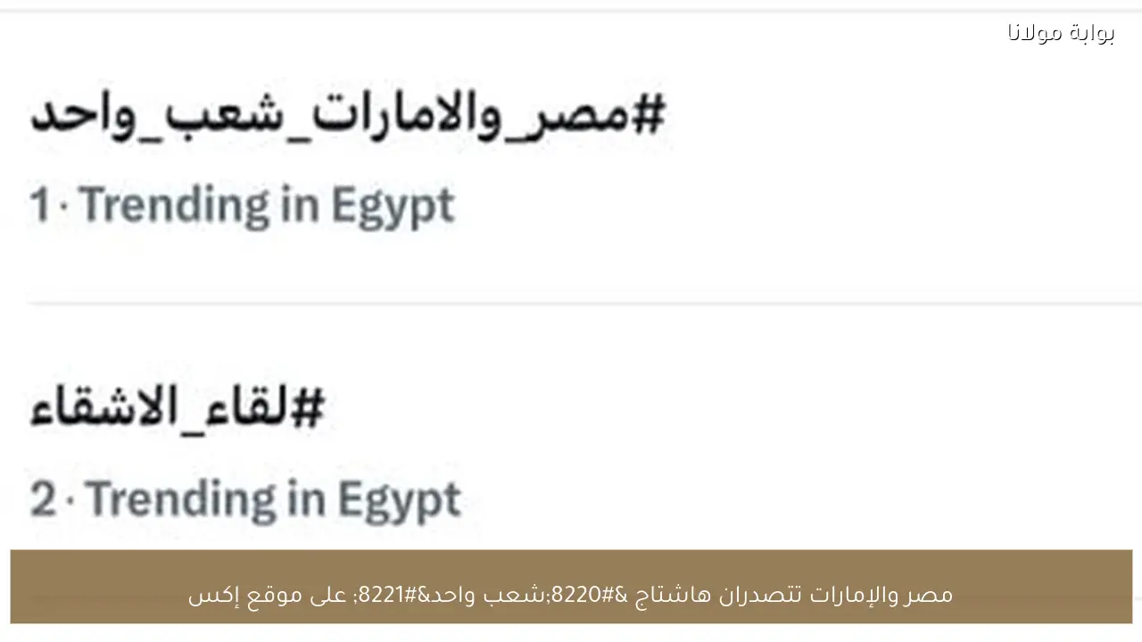 مصر والإمارات تتصدران هاشتاج “شعب واحد” على موقع إكس