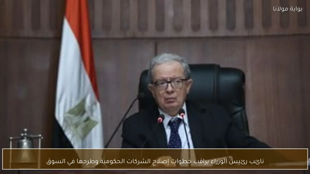 نائب رئيس الوزراء يراقب خطوات إصلاح الشركات الحكومية وطرحها في السوق
