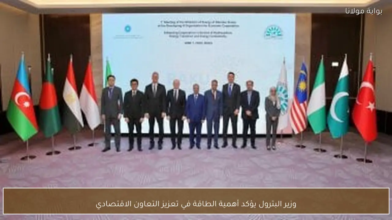 وزير البترول يؤكد أهمية الطاقة في تعزيز التعاون الاقتصادي