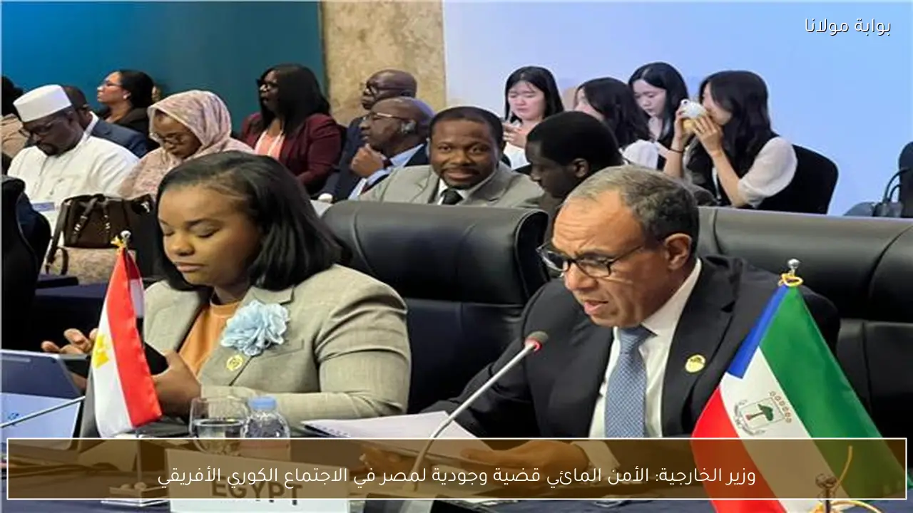 وزير الخارجية: الأمن المائي قضية وجودية لمصر في الاجتماع الكوري الأفريقي