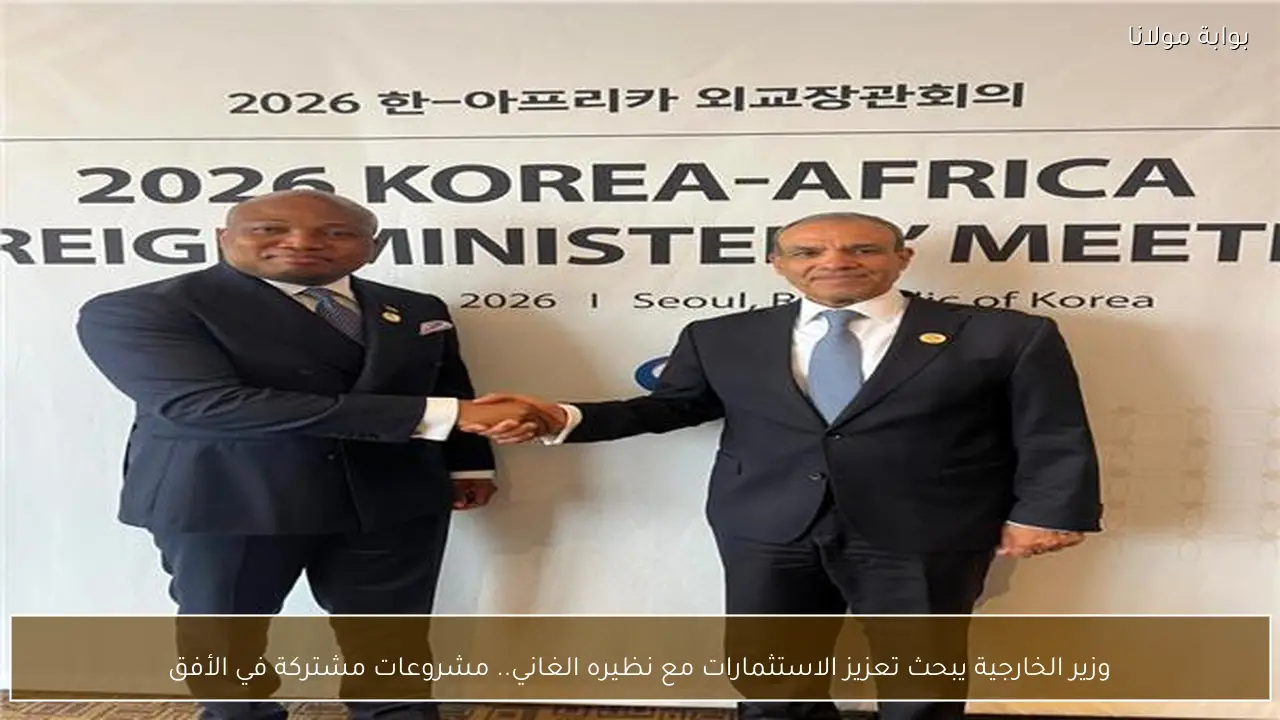 وزير الخارجية يبحث تعزيز الاستثمارات مع نظيره الغاني.. مشروعات مشتركة في الأفق
