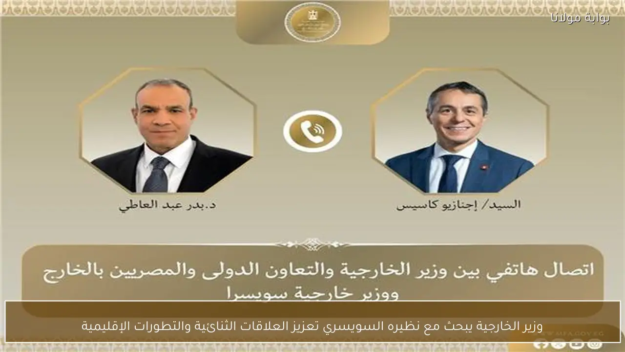 وزير الخارجية يبحث مع نظيره السويسري تعزيز العلاقات الثنائية والتطورات الإقليمية