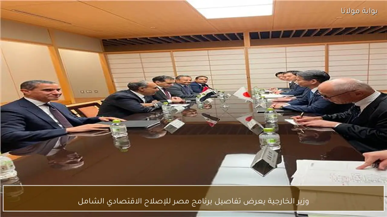 وزير الخارجية يعرض تفاصيل برنامج مصر للإصلاح الاقتصادي الشامل