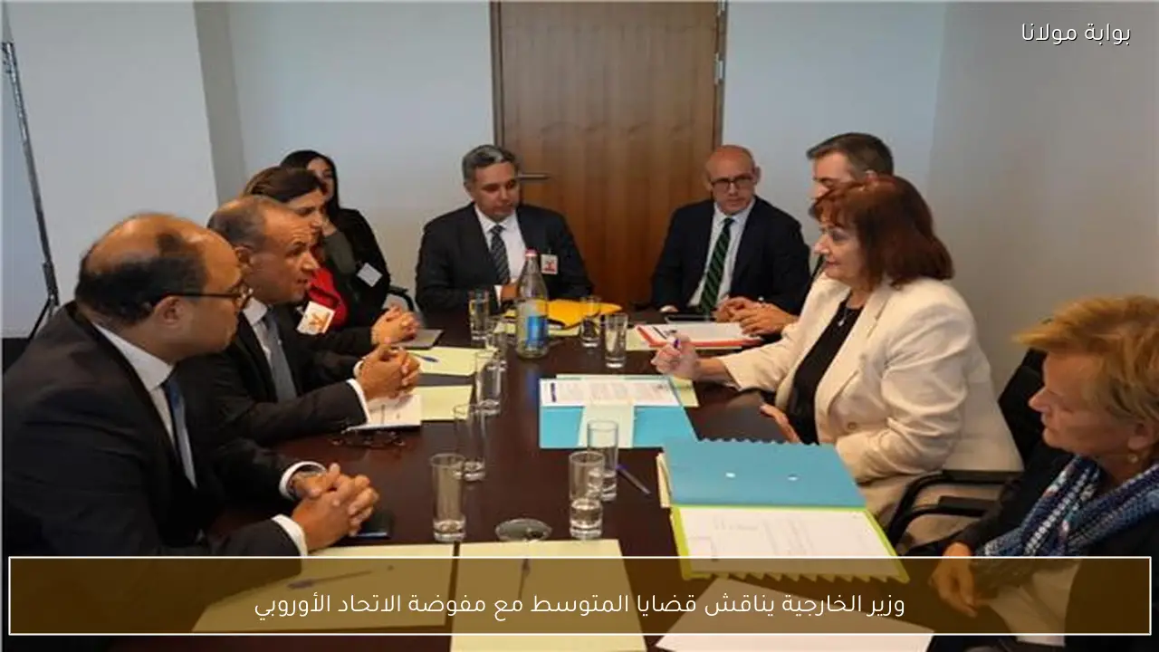 وزير الخارجية يناقش قضايا المتوسط مع مفوضة الاتحاد الأوروبي