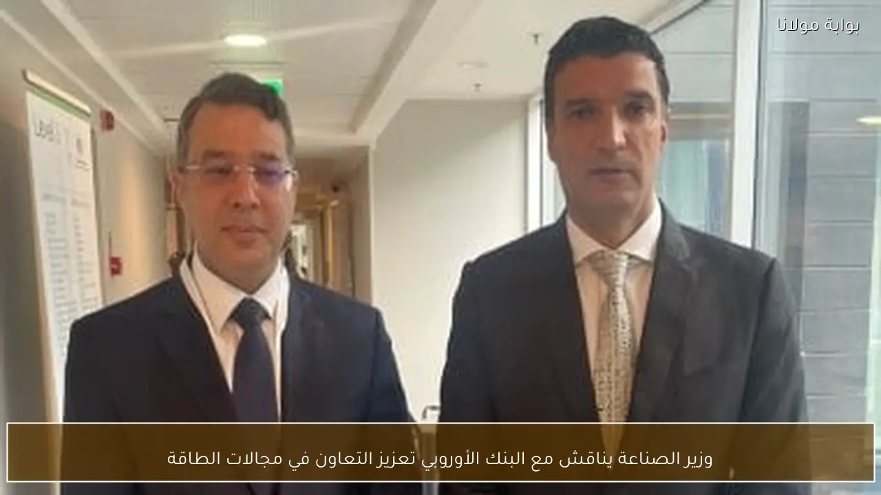 وزير الصناعة يناقش مع البنك الأوروبي تعزيز التعاون في مجالات الطاقة