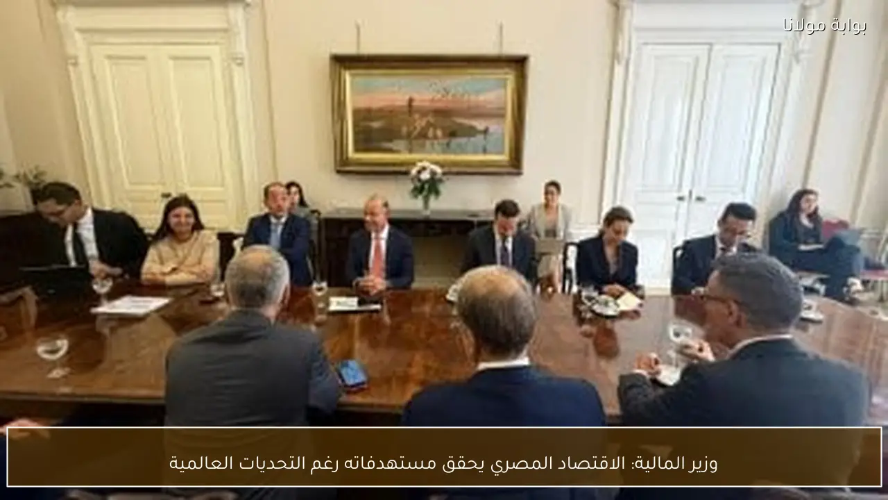 وزير المالية: الاقتصاد المصري يحقق مستهدفاته رغم التحديات العالمية