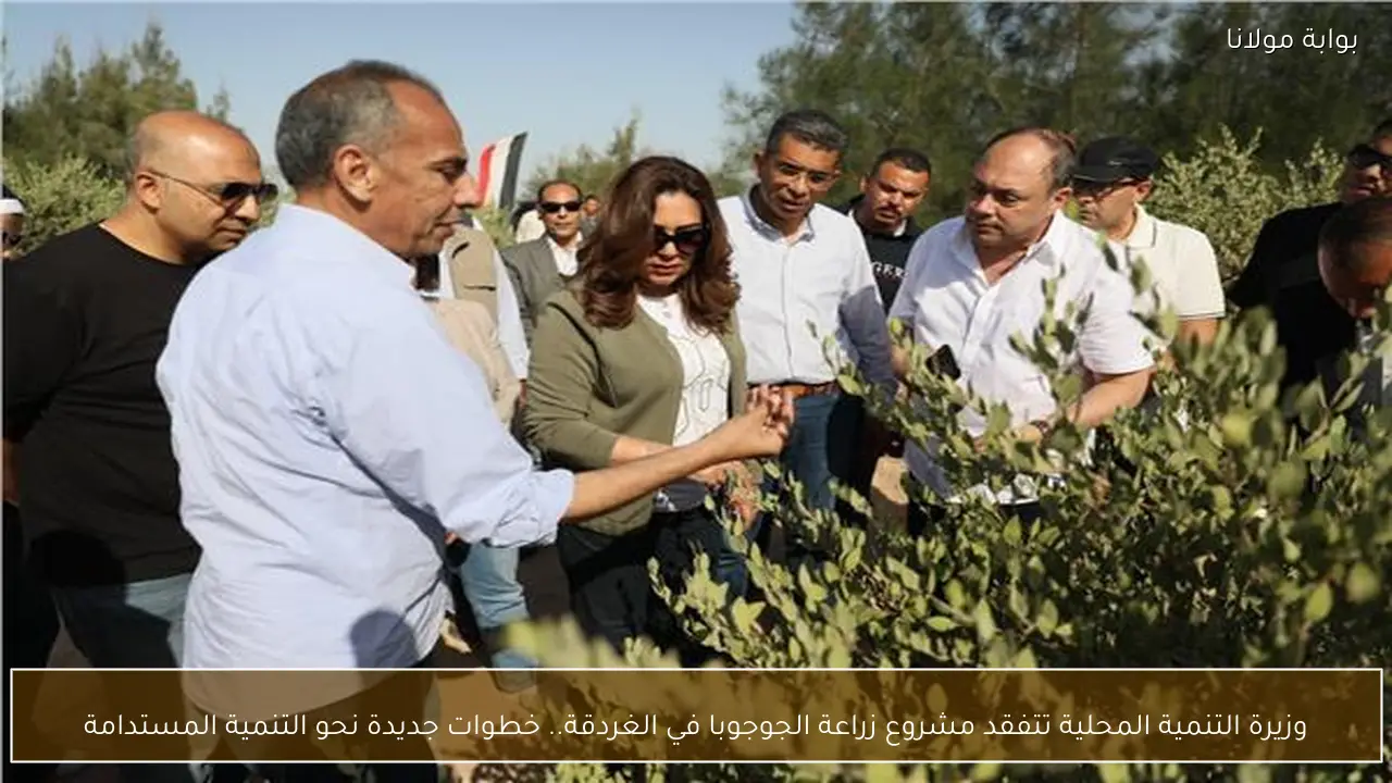 وزيرة التنمية المحلية تتفقد مشروع زراعة الجوجوبا في الغردقة.. خطوات جديدة نحو التنمية المستدامة