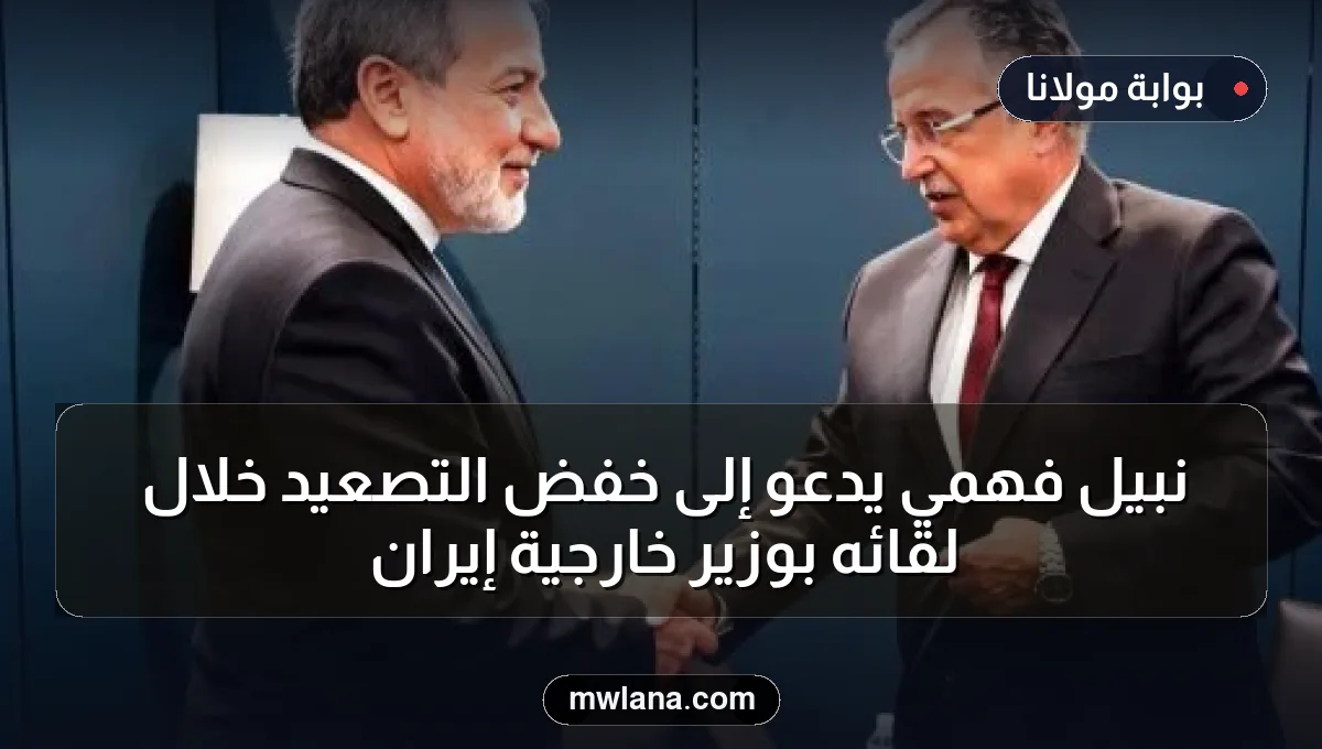 نبيل فهمي يدعو إلى خفض التصعيد خلال لقائه بوزير خارجية إيران