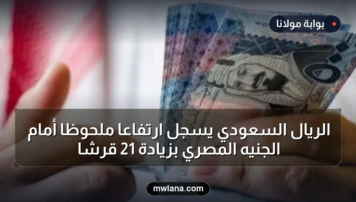 الريال السعودي يسجل ارتفاعًا ملحوظًا أمام الجنيه المصري بزيادة 21 قرشًا