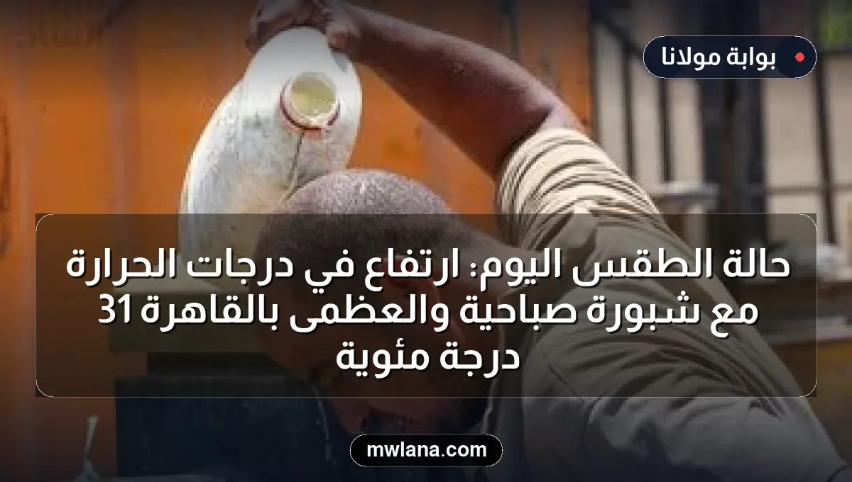 حالة الطقس اليوم: ارتفاع في درجات الحرارة مع شبورة صباحية والعظمى بالقاهرة 31 درجة مئوية