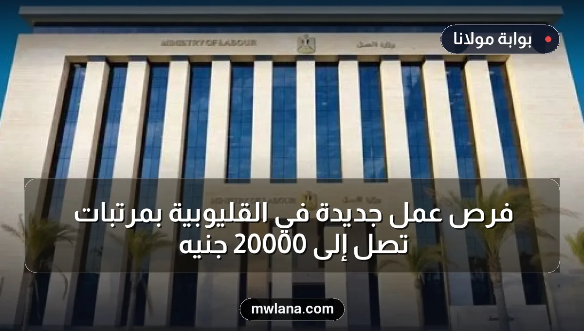 فرص عمل جديدة في القليوبية بمرتبات تصل إلى 20000 جنيه