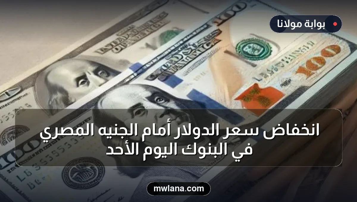 انخفاض سعر الدولار أمام الجنيه المصري في البنوك اليوم الأحد