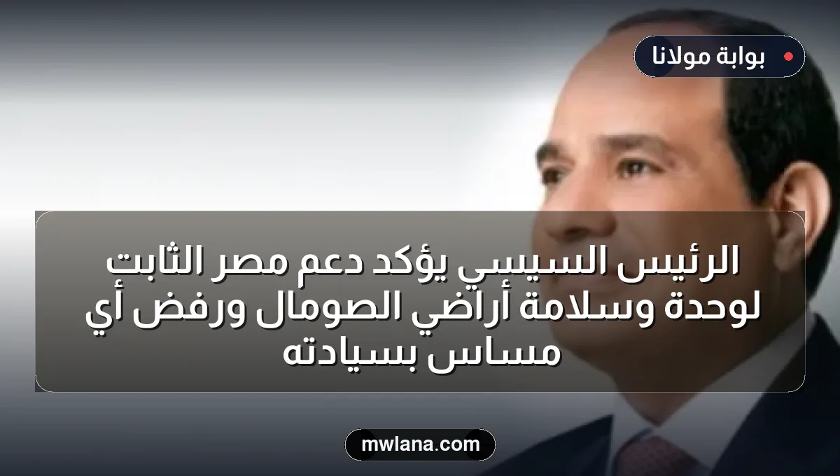 الرئيس السيسي يؤكد دعم مصر الثابت لوحدة وسلامة أراضي الصومال ورفض أي مساس بسيادته